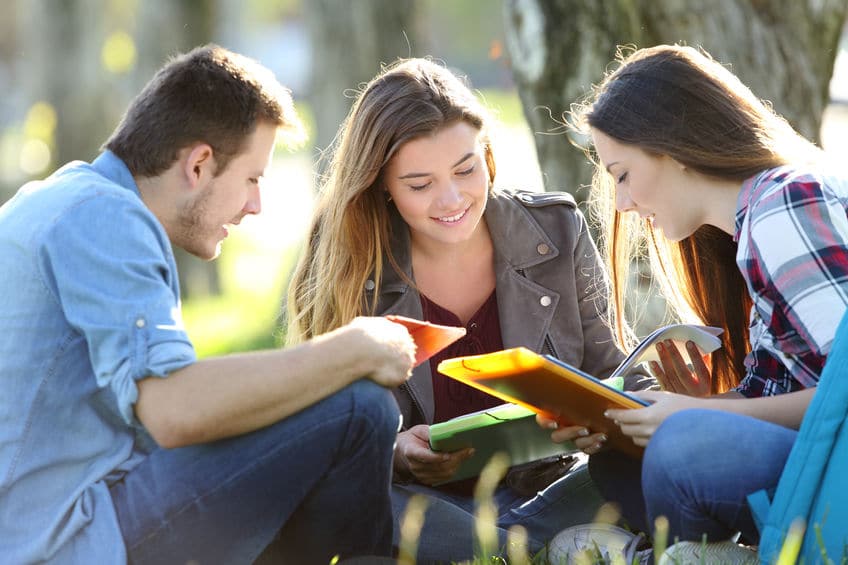 Three students studying outdoors on the grass